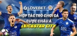 Giới thiệu đấu nối API thể thao chi tiết nhất