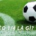 Kèo ¾ là gì? Mách bạn kinh nghiệm soi kèo siêu đỉnh