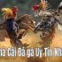 Mot88 game – Kho tàng giải trí dành cho các cược thủ